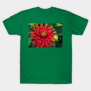 Canada. Vancouver Island. Butchart Gardens. Flower. T-Shirt